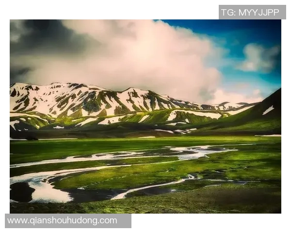 冰岛足球球星崛起之路 从寒冷小岛到国际赛场的传奇故事